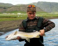 Bifogad bild: 6kgtrout.jpg